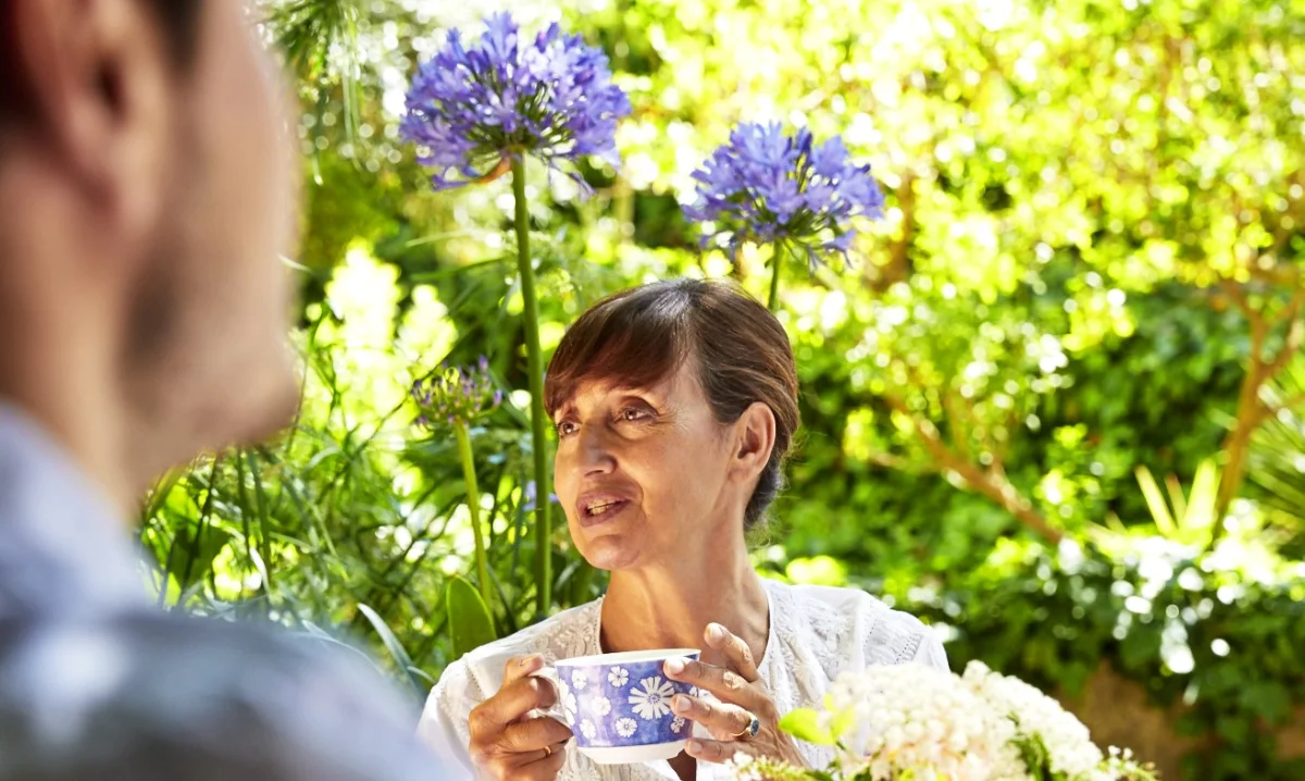 bodegas oliver moragues contacto