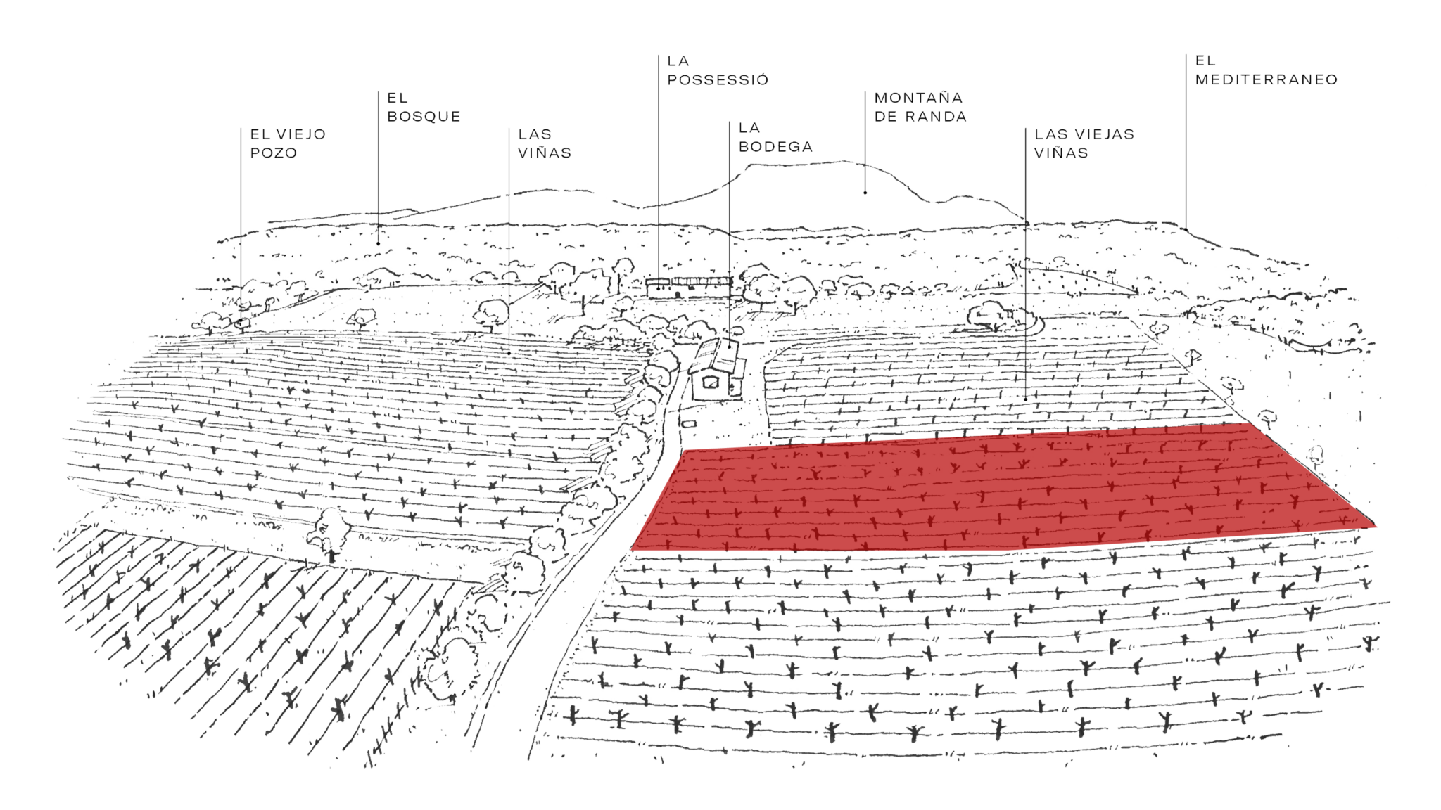 mapas om vinos web de la finca