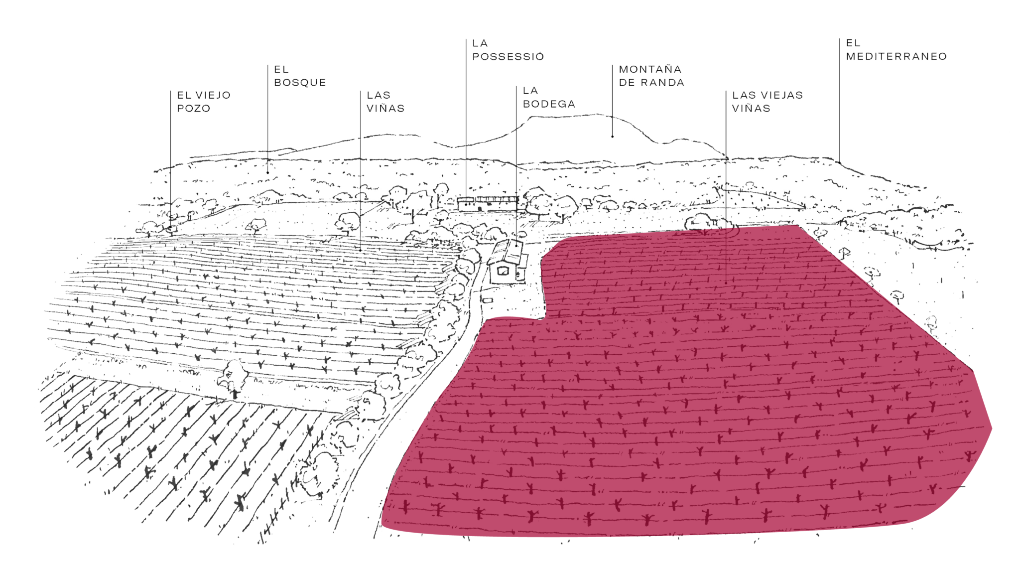 mapas om vinos web om 500