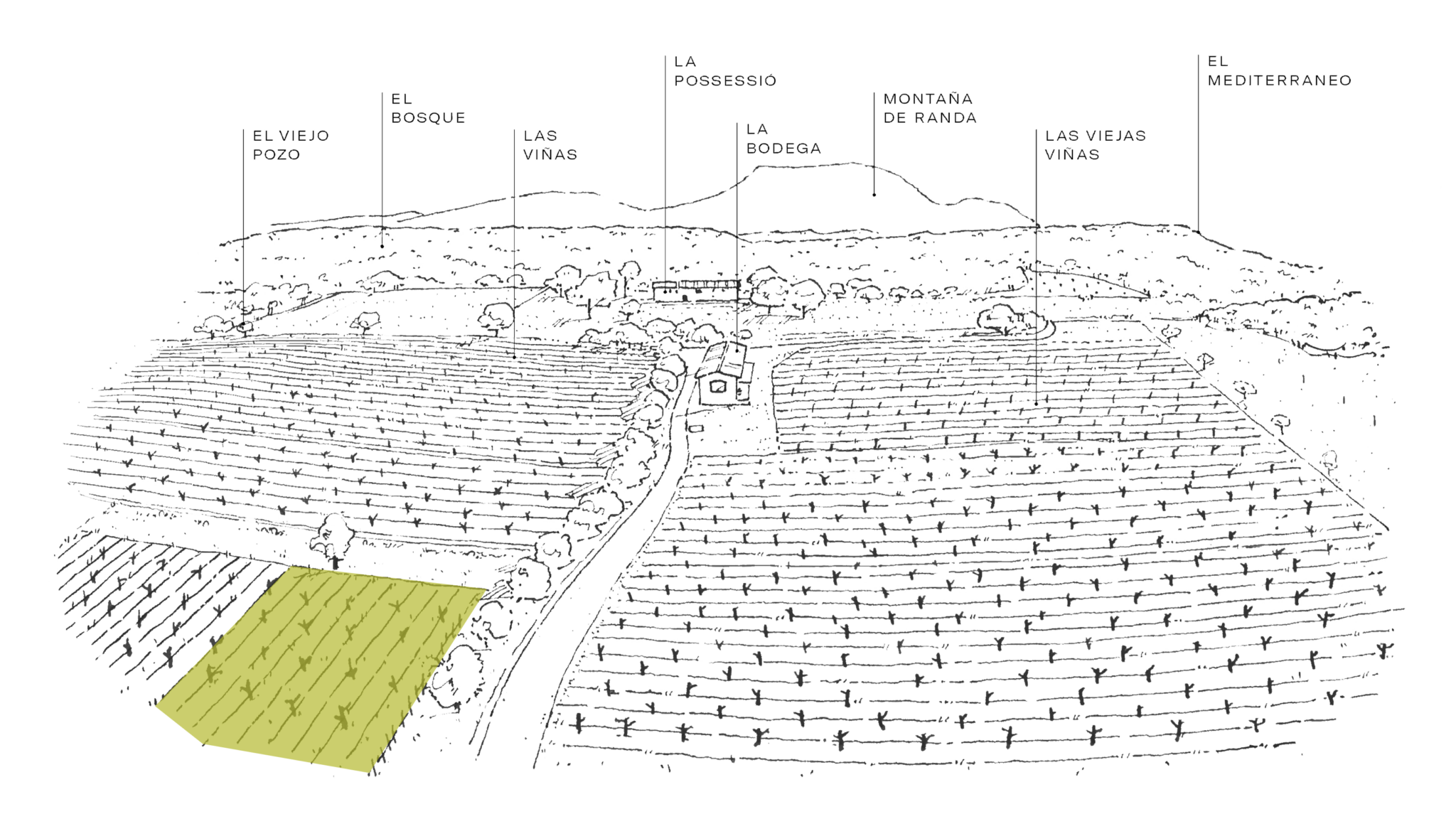 mapas om vinos web prensal