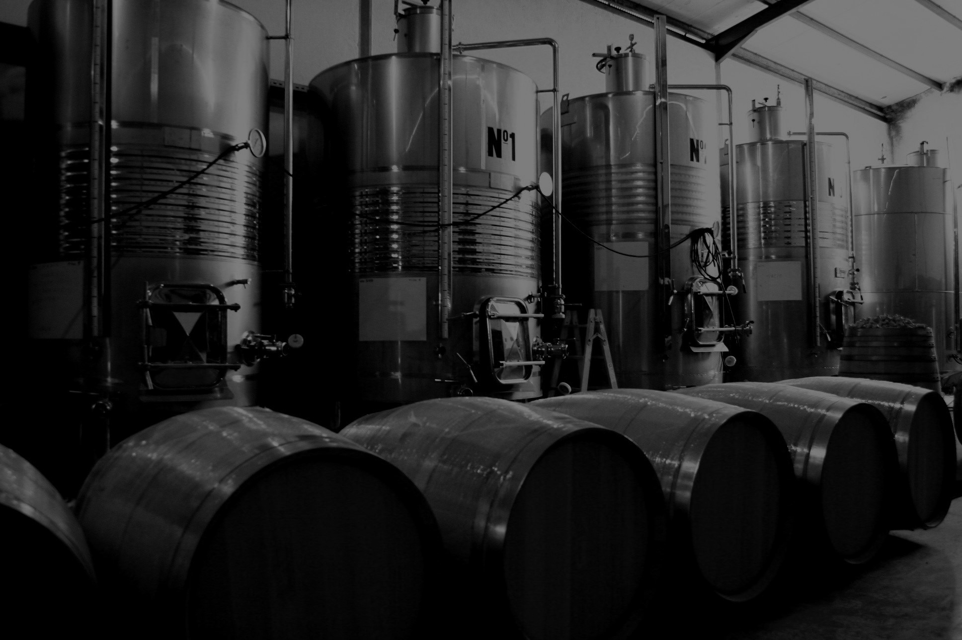bodega 1 ca