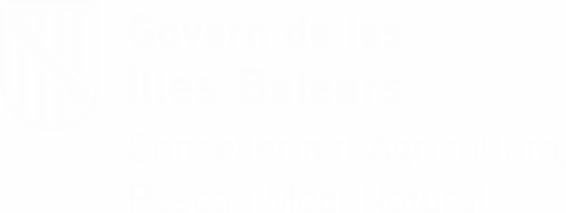 govern balear oliver moragues mallorca