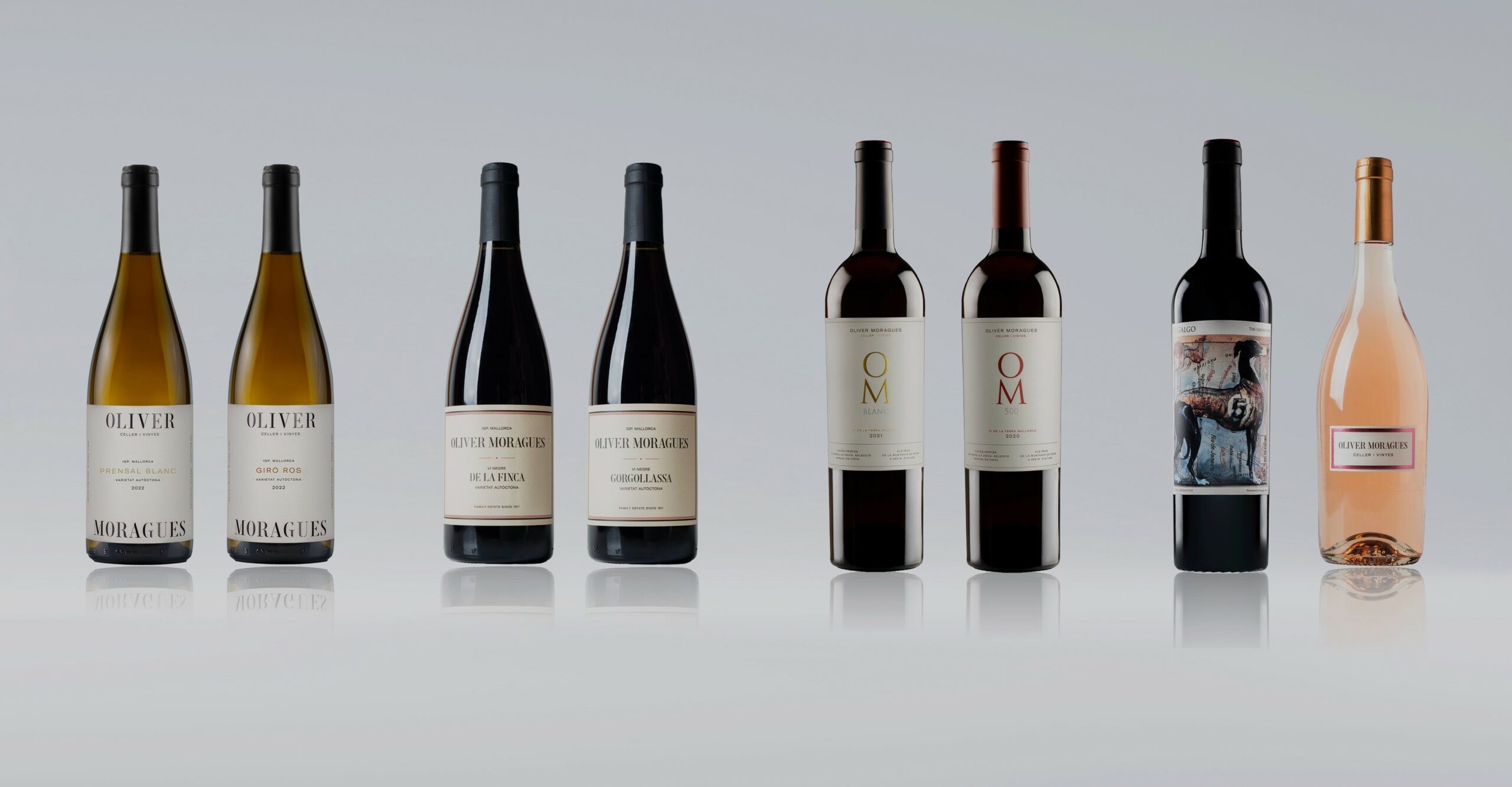 montaje botellas mayo 2024 v2 1 scaled